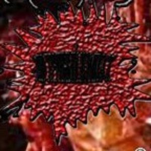 Avatar for МЦ ТРУПНЫЙ КОМПОСТ