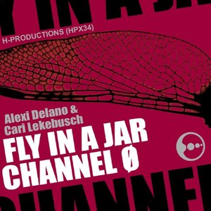 Fly In A Jar / Channel 0