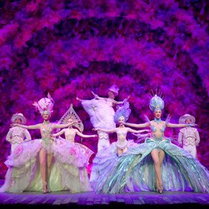 Avatar di New Broadway Cast of "Follies"