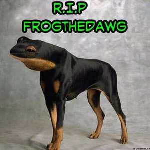 Avatar for FrogtheDawg