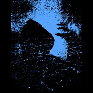 Wailing Forest 的头像