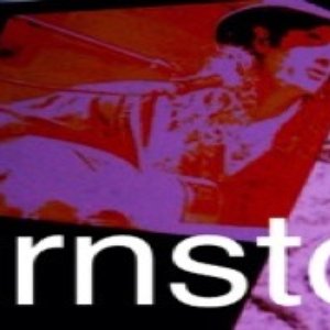 “Turnstone”的封面