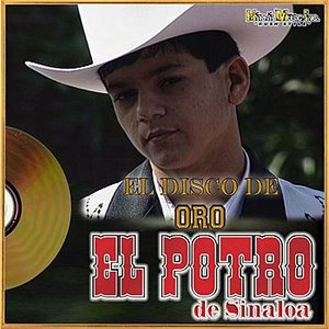 El Disco De Oro