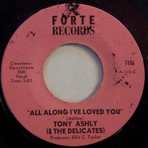 Tony Ashly & The Delicates 的头像