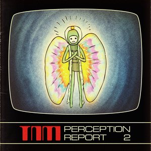 Perception Report 2