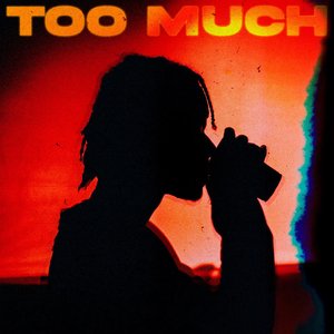 Too Much - Single