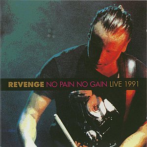 Image for 'No Pain No Gain (Live 1991)'