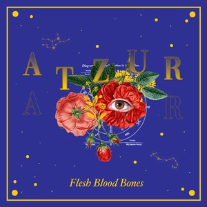 Flesh Blood Bones