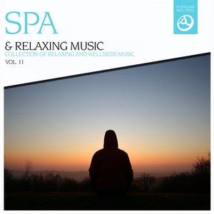SPA & Relaxing Music, Vol. 11
