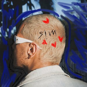 s!m