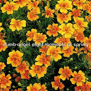 Eight Moments of Spring