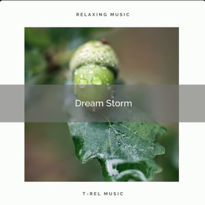 ! ! ! ! Dream Storm