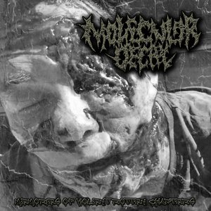 Memories Of Violent Rotten Chapters