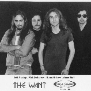 The Want 的头像