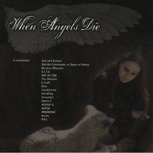 “When Angels Die - A Benefit Compilation”的封面