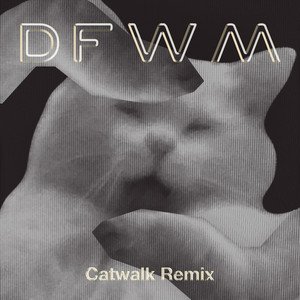 DFWM