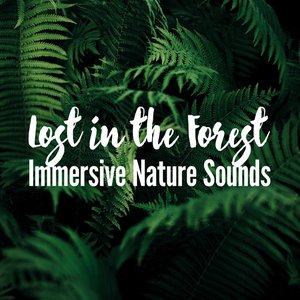 Lost in the Forest: Immersive Nature Sounds