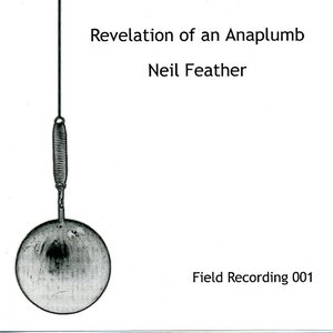 Revelation of An Anaplumb