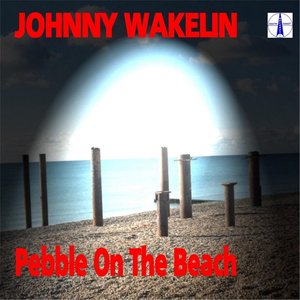 Pebble On the Beach