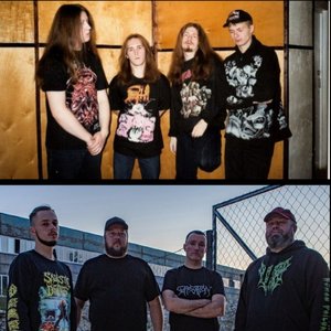 Necrogenesis 的头像