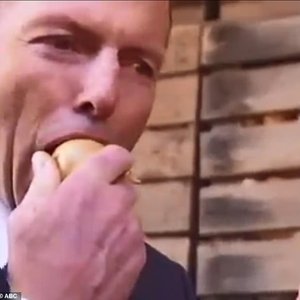 Tony Abbott 的头像