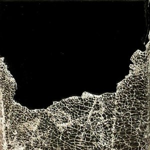 House of Leaves