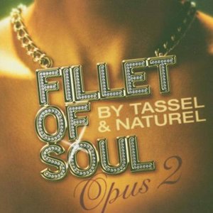 Fillet of Soul Opus 2