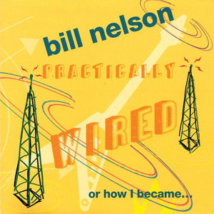 Practically Wired...or How I Became Guitar Boy cover