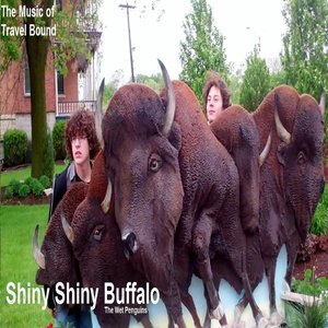 Shiny Shiny Buffalo