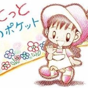 とっとのポケット
