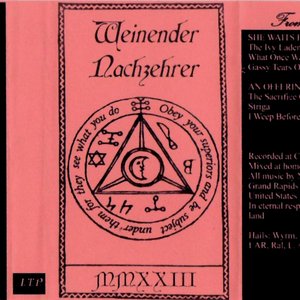 Weinender Nachzehrer 的头像