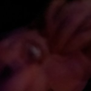 Avatar for eyesareclosed