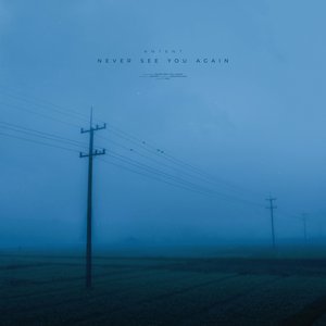 Never See You Again - Single