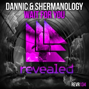 Wait For You - Single