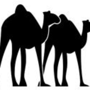 Avatar for Camels In Alaska