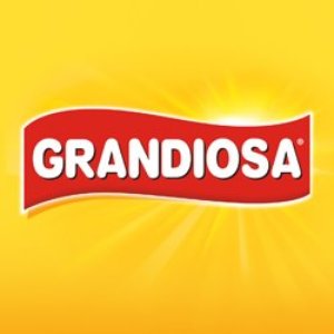 Image for 'Grandiosa'