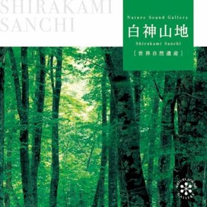 白神山地