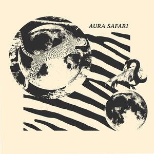 Aura Safari