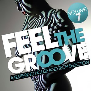 Feel the Groove - a Blistering House and Tech Selection, Vol. 7