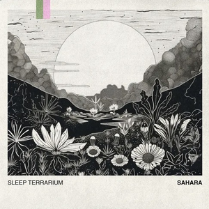 Artwork for Sahara (Nature)