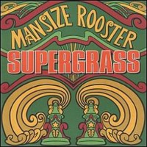 Mansize Rooster