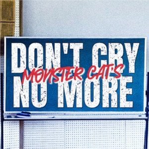 Don't Cry No More