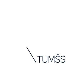 Tumšs