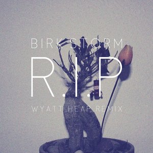 R.I.P. (Wyatt Heap Remix)