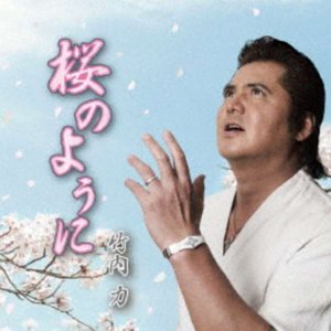 桜のように