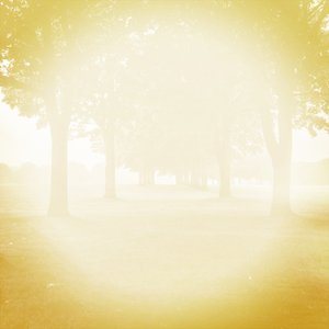 The Way Is Golden