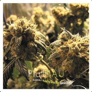 Kushbush + Music for Grassbars (Special Edition)