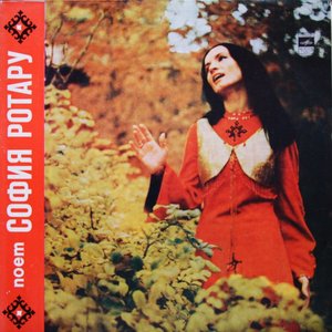 Червона Рута