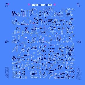 Black Dirt Oak 的头像