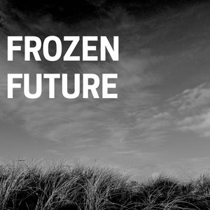 “Frozen Future”的封面